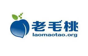 探索老毛桃PE软件:提供强大的系统维护和故障恢复功能